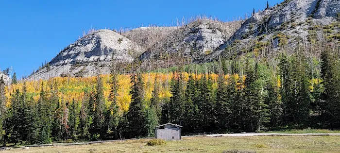 Willow Lake Campground Picture 5