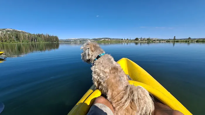 Willow Lake Campground Picture 1