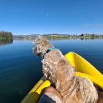 Willow Lake Campground