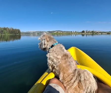 Willow Lake Campground