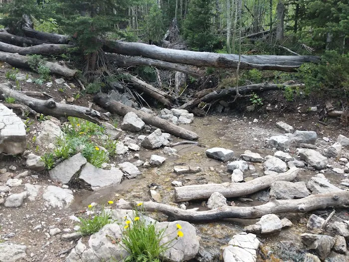 Willow Lake Campground Picture 7