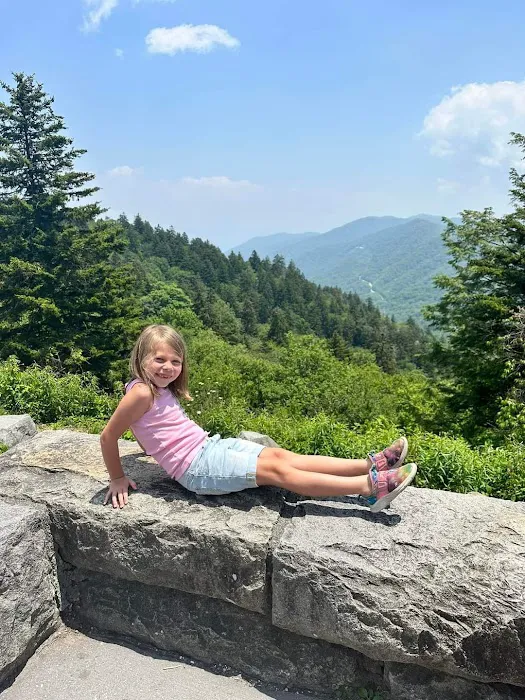 Hamilton Pointe Mobile Home Park Picture 8