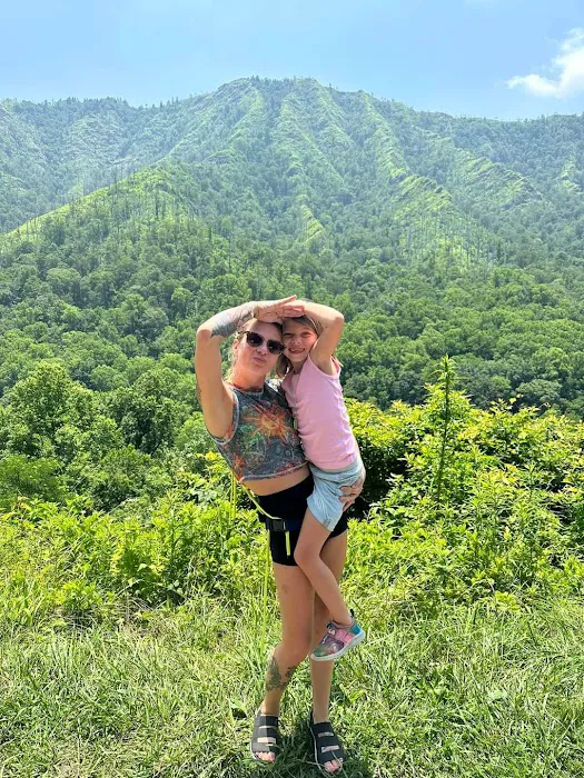 Hamilton Pointe Mobile Home Park Picture 5