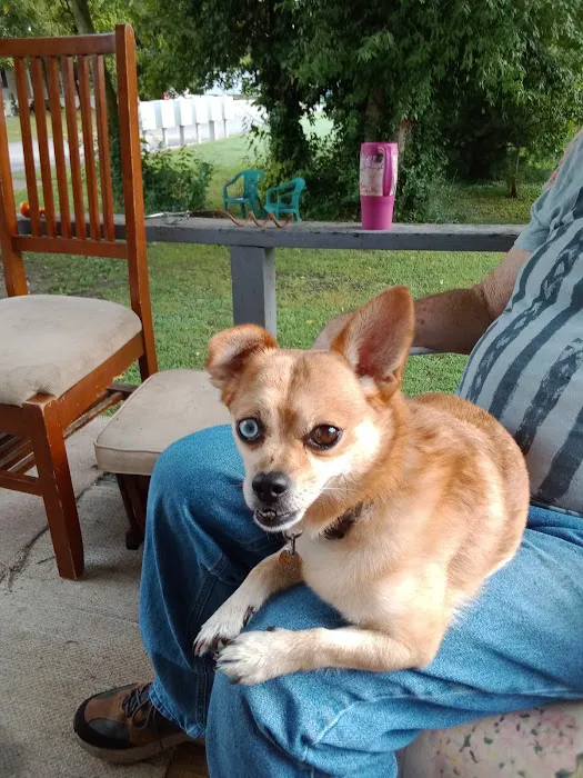 Hamilton Pointe Mobile Home Park Picture 10