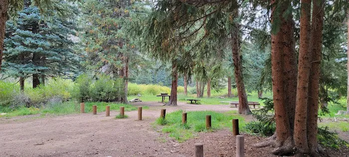 Chute Group Campground Picture 7