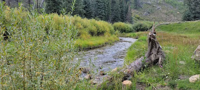 Chute Group Campground Picture 5