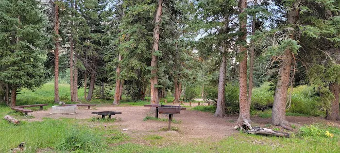 Chute Group Campground Picture 10