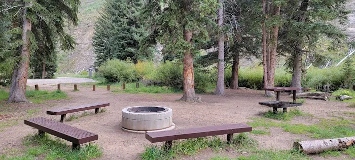 Chute Group Campground Picture 4