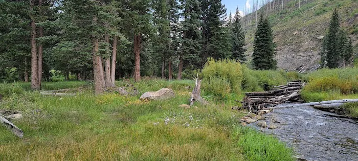 Chute Group Campground Picture 8