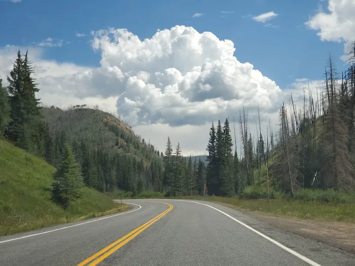 Chute Group Campground Picture 1