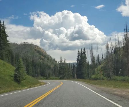 Chute Group Campground