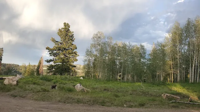 Avintaquin Campground Picture 1