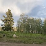 Avintaquin Campground