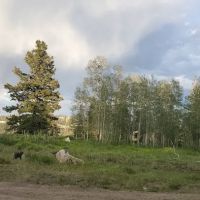 Avintaquin Campground ico