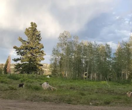 Avintaquin Campground