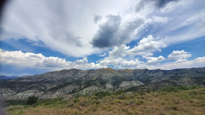 Avintaquin Campground Picture 2