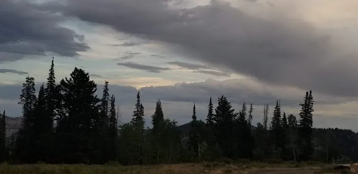 Avintaquin Campground Picture 5