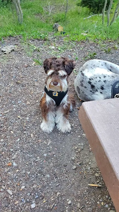 Avintaquin Campground Picture 6