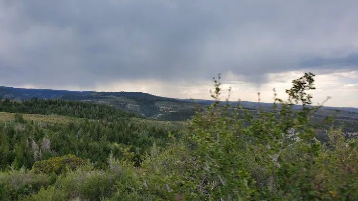 Avintaquin Campground Picture 10