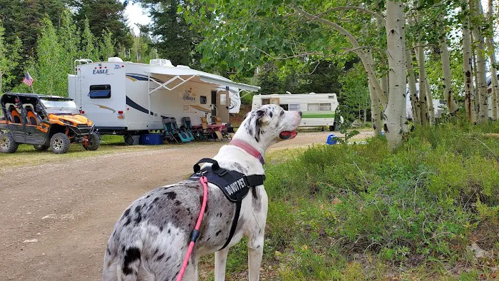 Avintaquin Campground Picture 3