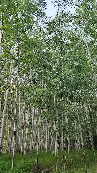 Bridges Campground Picture 6