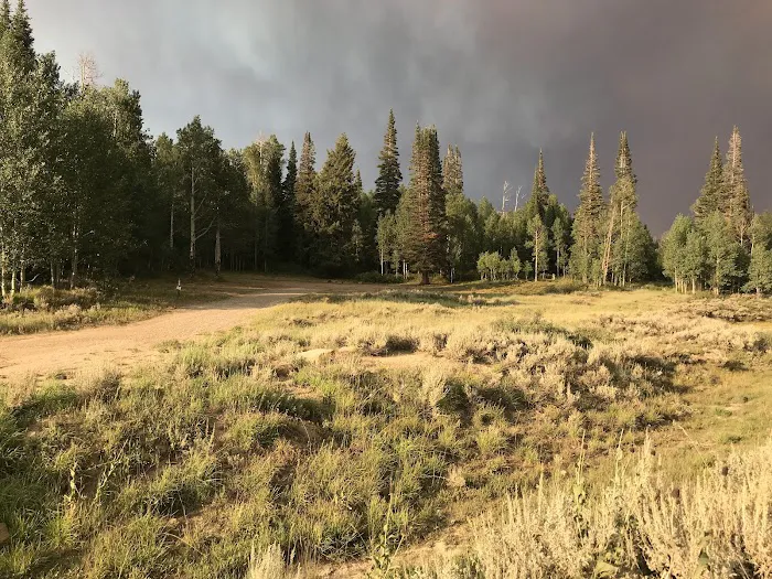 Miller Flat Reservoir Campground Picture 10