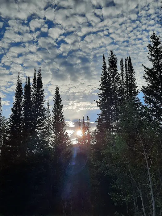 Miller Flat Reservoir Campground Picture 3