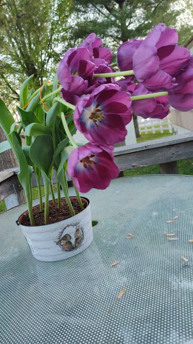 Northbrook Mobile Home Park Picture 4