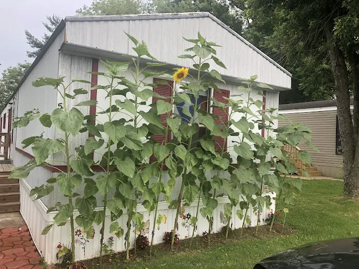 Northbrook Mobile Home Park Picture 1