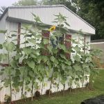 Northbrook Mobile Home Park