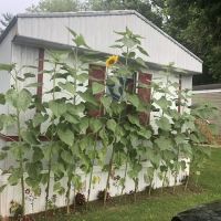 Northbrook Mobile Home Park ico