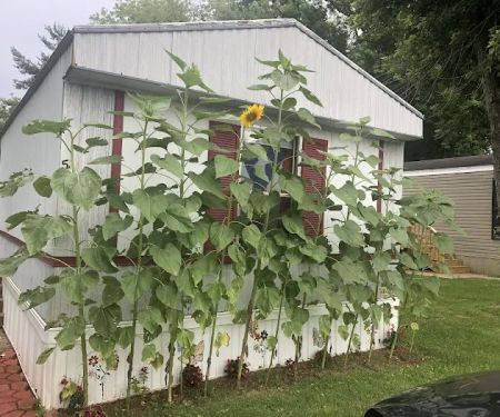 Northbrook Mobile Home Park