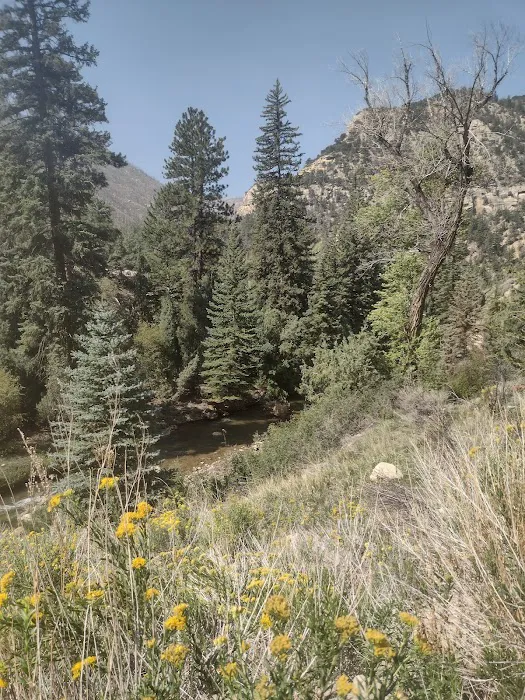 Little Rock Campground Picture 4