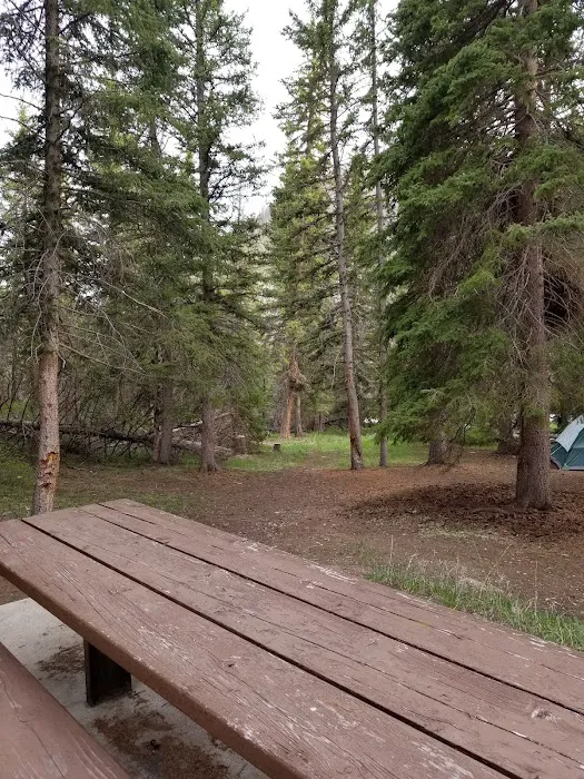 Old Folks Flat Group Campground Picture 5