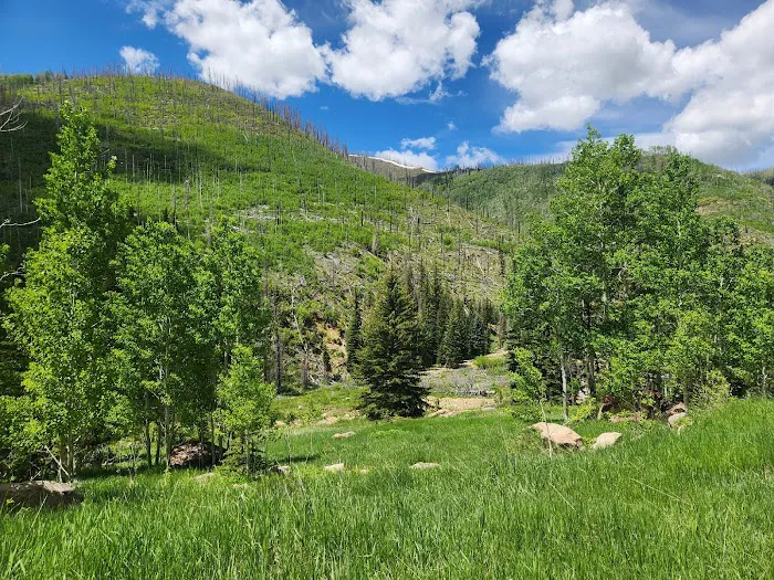Old Folks Flat Group Campground Picture 1