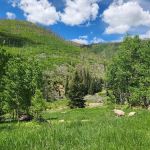 Old Folks Flat Group Campground