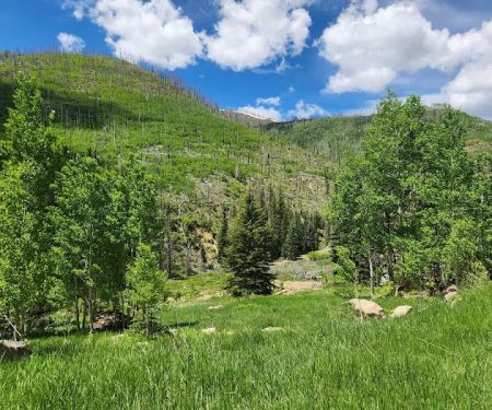 Old Folks Flat Group Campground