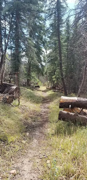 Old Folks Flat Group Campground Picture 9