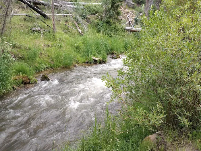 Old Folks Flat Group Campground Picture 3