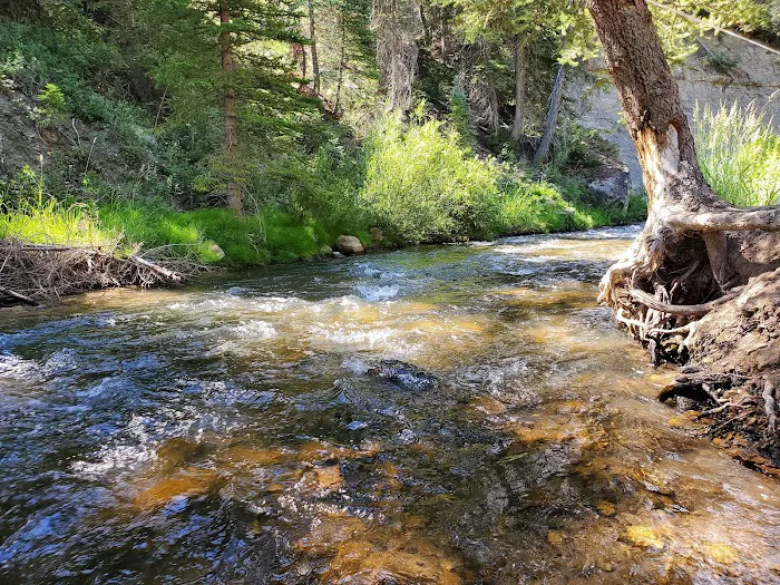 Big Rock Group Campground Picture 2