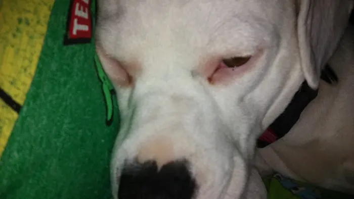 Greenlawn-Pinetree Mobile Home Picture 1