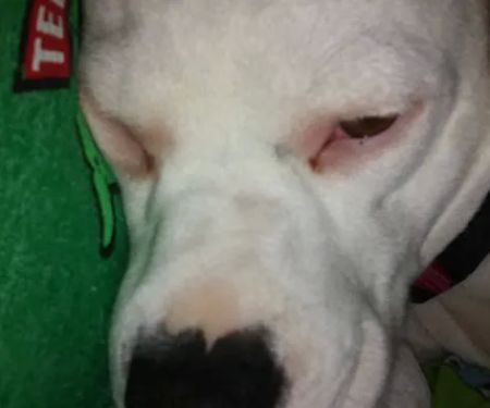 Greenlawn-Pinetree Mobile Home