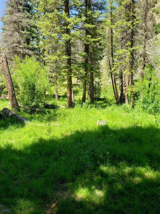 Forks of Huntington Campground Picture 8