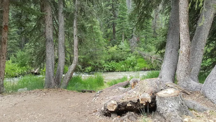 Forks of Huntington Campground Picture 5