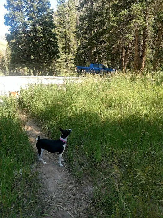 Forks of Huntington Campground Picture 10