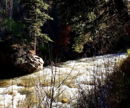 Forks of Huntington Campground
