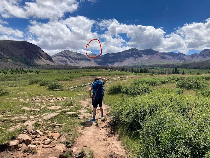 Henrys Fork Campground Picture 3