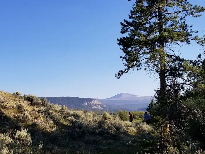 Henrys Fork Campground Picture 5