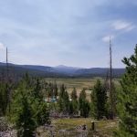 Henrys Fork Campground