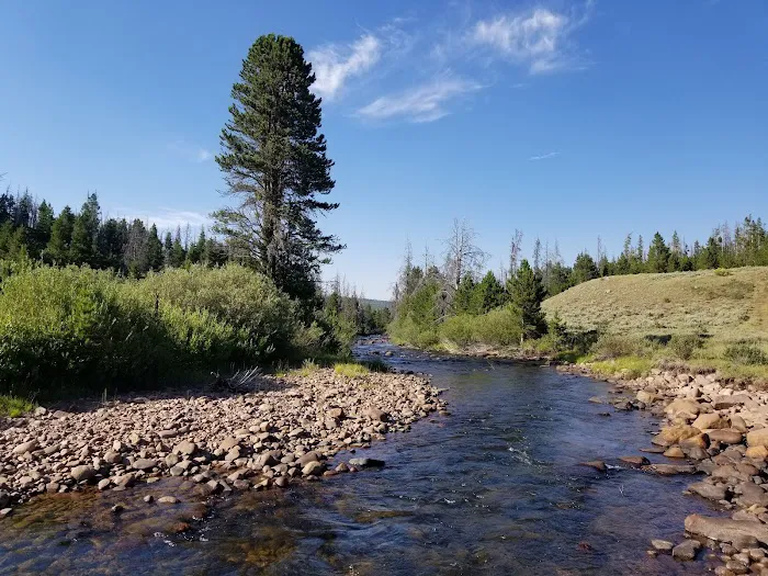 Henrys Fork Campground Picture 6